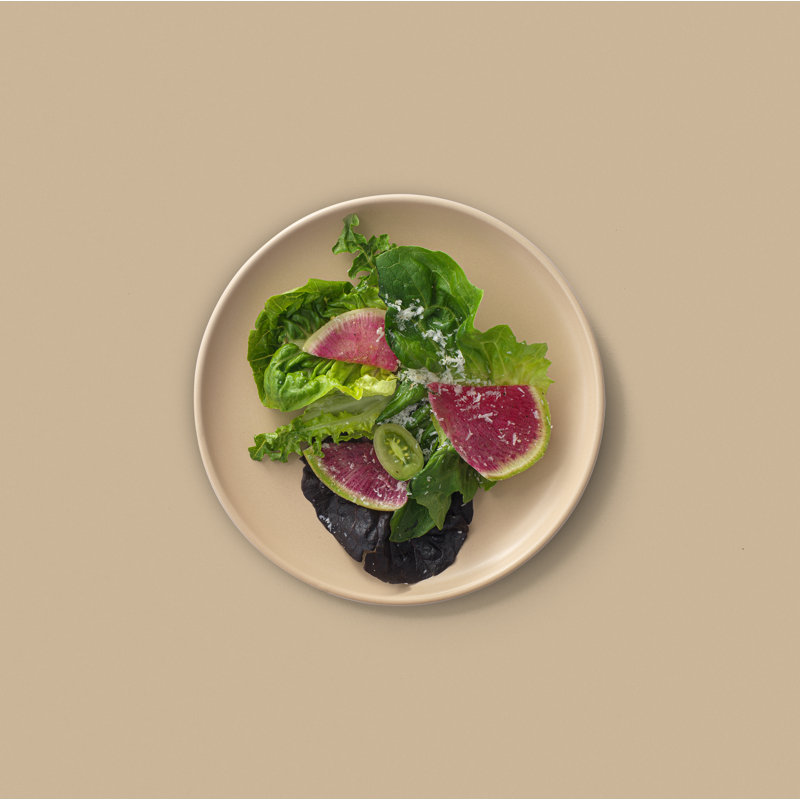 Matte Beige Ceramic 8" Salad and Dessert Plates Set of 6