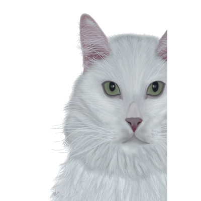 Chat, portrait blanc sur fond blanc
