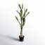 Cactus artificiel en pot-515654068