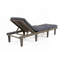 Chaise longue d'extérieur avec coussin