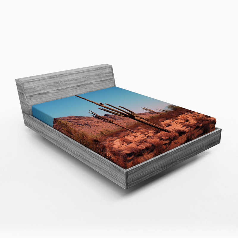 Drap-housse Saguaro, Drap-housse de taille double