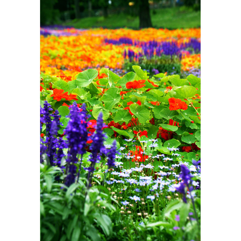 Flower Bed - Photographie sur toile tendue, H 18 po x l 12 po