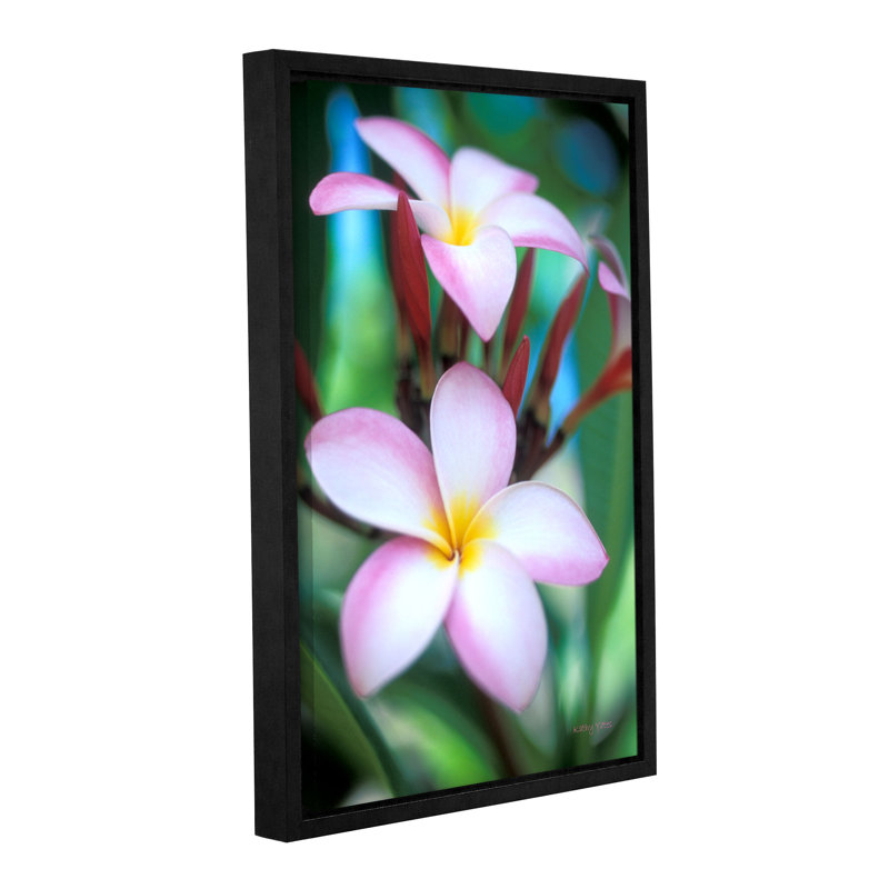 « maui plumeria » par kathy yates, reproduction de photo encadrée, H 32 po x l 48 po