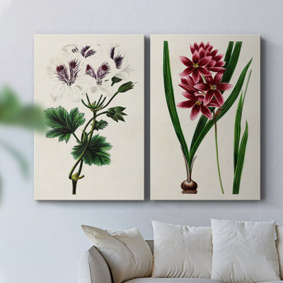 AntiqueFloralFolioIX-Premium Gallery Wrapped Canvas -Ready to Hang