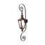 Vicksburg Outdoor Wall Lantern-928269142