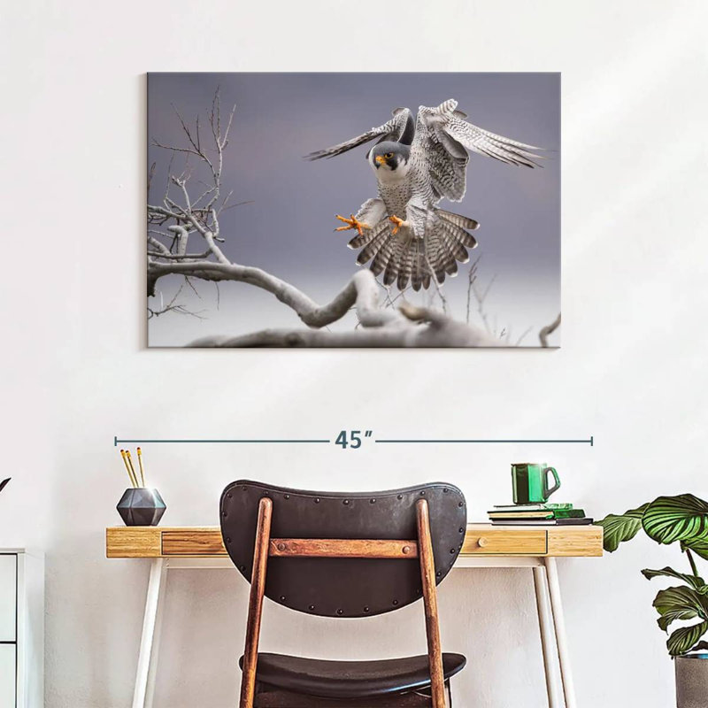 Peregrine Falcon, 26" H x 39" W