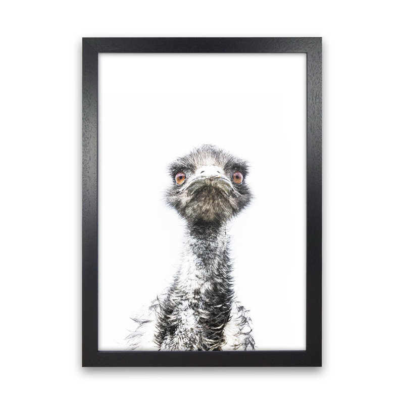 E.M.U by Victoria Frost - Print, Black Framed, 63cm H x 46cm W x 3cm D