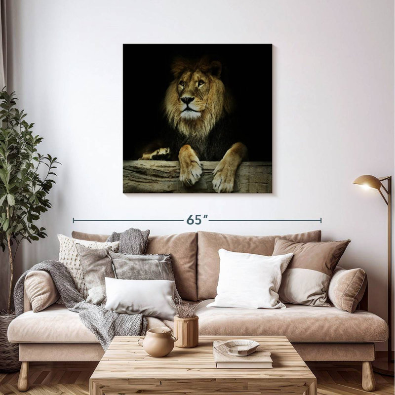 Brampt Imperious Lion, 39" H x 39" W
