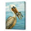 Art mural sur toile Coastal Pelican-415008794