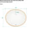 Lavabo de salle de bain ovale encastré en céramique blanche avec trop-plein 18 po x 15 po - Moderne, élégant, teint et rouille
