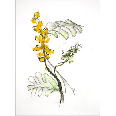 Leaf And Flower 3 Print
