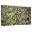 Evergreen Pine Trees-111980783