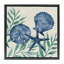 Cadre flottant maritime Tampico Shells, design par Paul Brent-2104583631-2104583624