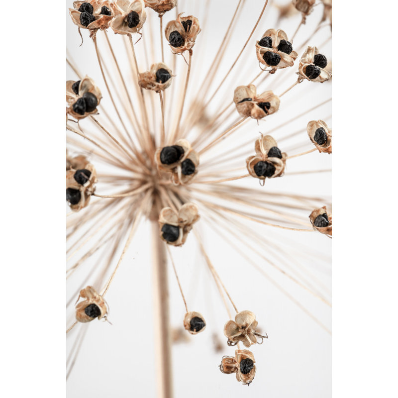 Wrapped Canvas Print, 60.96cm H x 91.44cm W