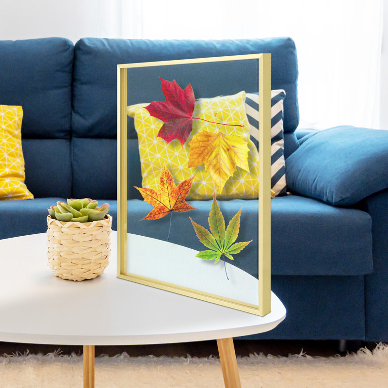 Chevalier Floating Frame 16x20, Metal Frame Display Photos, Plant or Petal Specimens for Wall Display, Gold