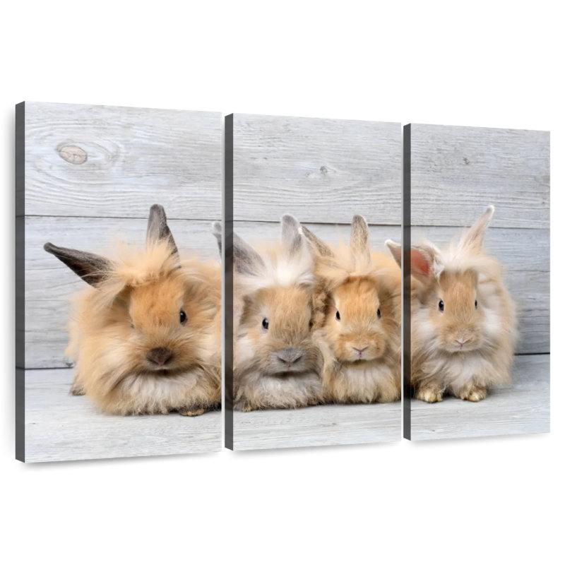 Brampt Fluffy Rabbits, 14" H x 23" W