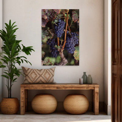 Cabernet Sauvignon Grapes In Vineyard Wine Country California Usa Abstract Contemporary Landscape Nature Art