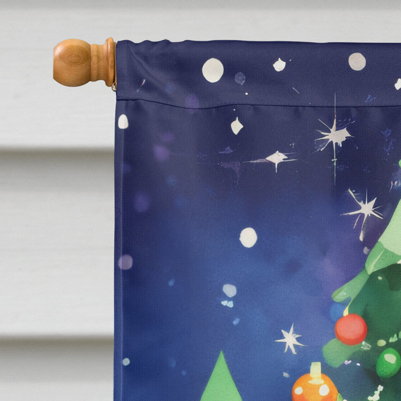 Drapeau de jardin en polyester à 2 faces, H 40 po x l 28 po