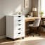 40 cm W 5 -Drawer Filing Cabinet-135785124