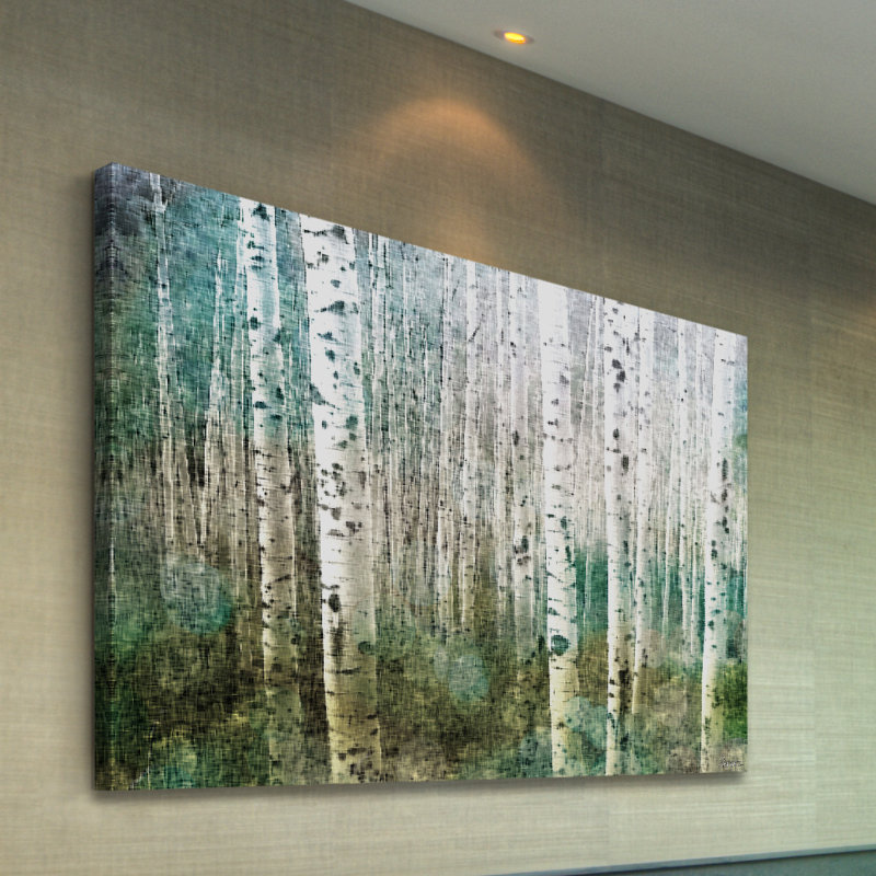 Aspen by Parvez Taj - Wrapped Canvas Print, 51cm H x 76cm W 
