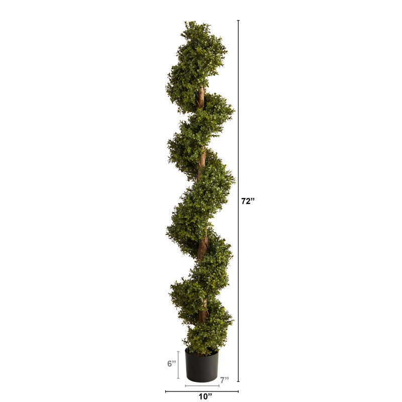 Buis artificiel en pot Darnell, H 72 po x l 10 po x P 10 po