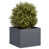 Anthracite selected