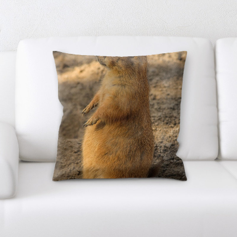 Coussin prairie dog