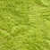 Plush Bright Lime Area Rug