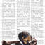 «Staying Home» par Eyre Tarney - Reproduction d'art graphique sur papier encadré-21968844