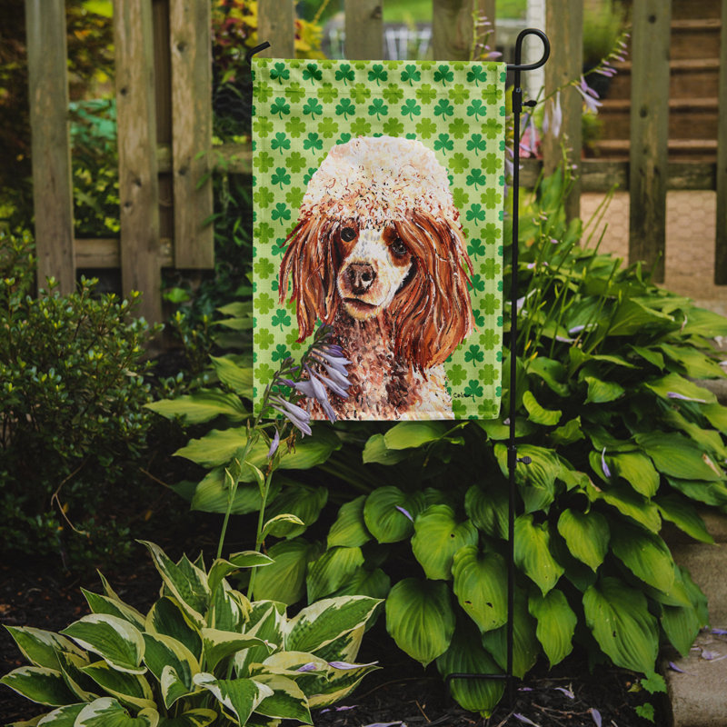 Drapeau de jardin à 2 côtés st. patrick day trèfle, Caniche (brun)