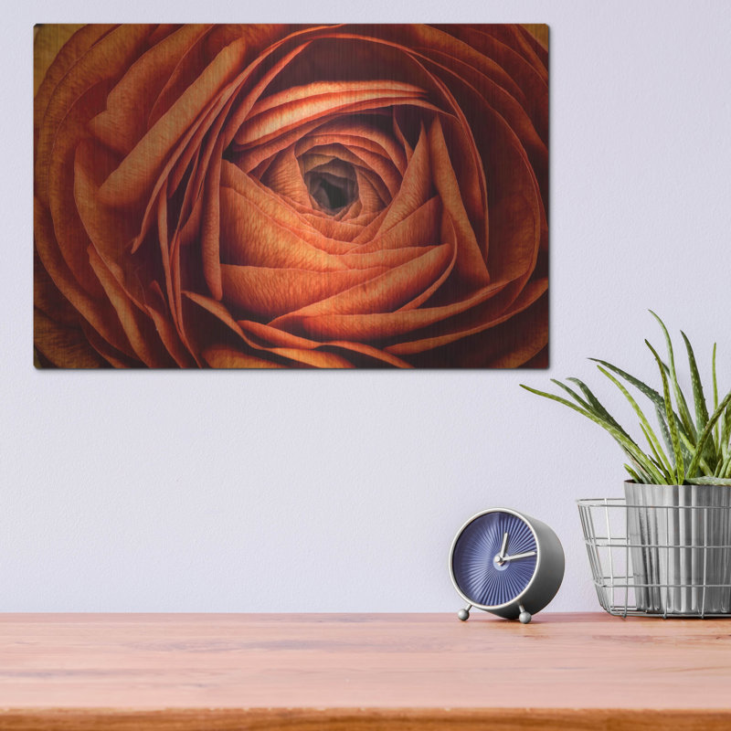 Mur en métal Ebern Designs «Ranonkel Oranje» par Rick Berk, H 12 po x l 16 po