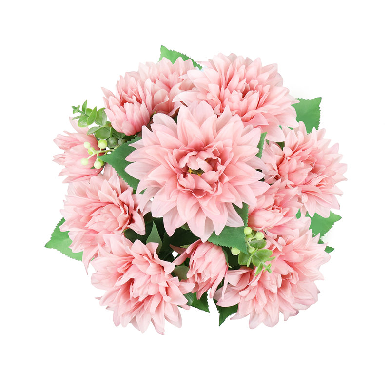 Buissons de dahlia, Rosé