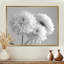 Monochromes blanc noir maman botanique beauté II - décoration murale mamans-1752048219-1752048217