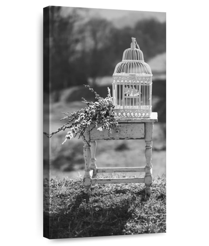 Cage à oiseaux rétro monochrome