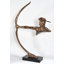 Bronze Shooter