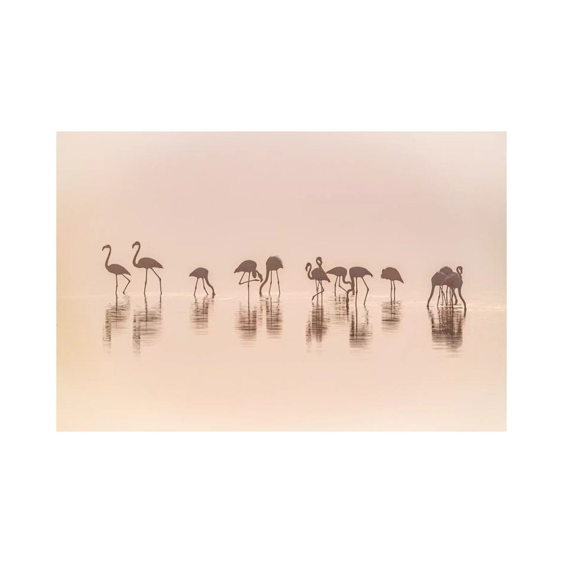 Flamingos In The Mist by Jeffrey C. Sink - Wrapped Canvas Print, 30.48cm H x 45.72cm W x 1.91cm D