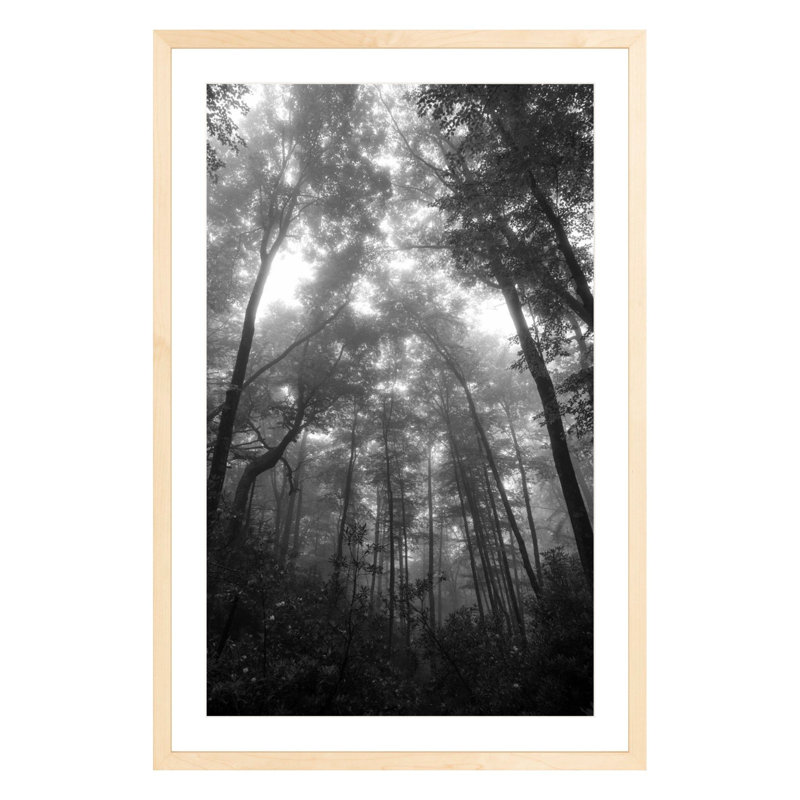 Landscape & Nature Print, Oak, 42" H x 28" W x 2.25" D