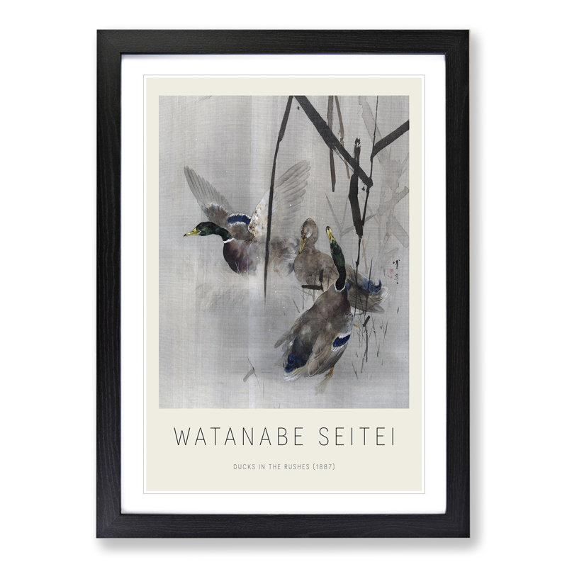 Ducks In The Rushes by Watanabe Seitei - Single Picture Frame Print, Black Framed, 65cm H x 48cm W x 2cm D