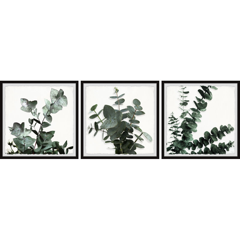 Evergreen arbuste triptyque, H 18 po x l 18 po