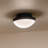 Zabir Glass Flush Mount-1537966731