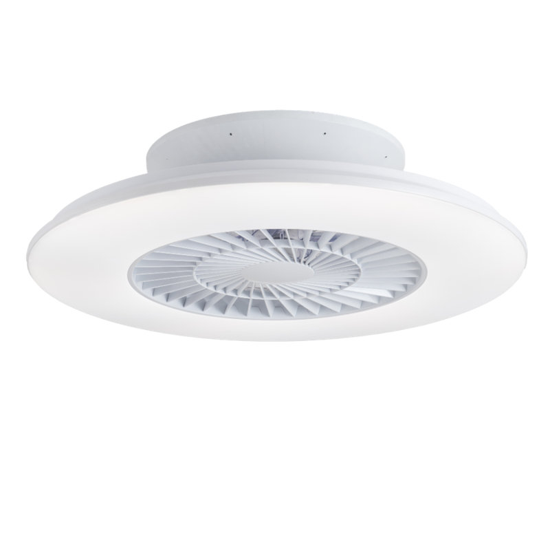 Elzebir 60cm Ceiling Fan with LED Lights