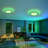 Bird's Nest Dimmable Integrated LED RGB Flush Mount -270720959