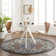 Neel Oriental Area Rug