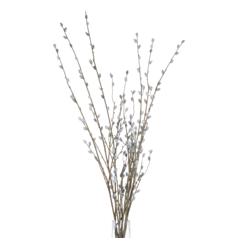 Arrangement