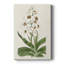 Flore Albo I - Gallery Cavas