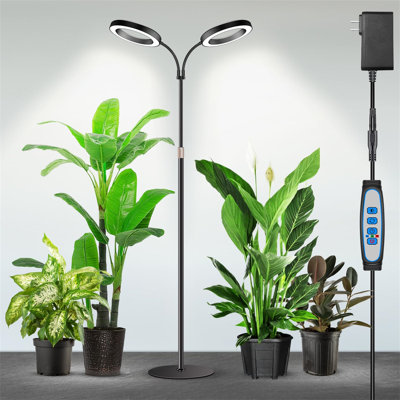 Naomi Grow Light
