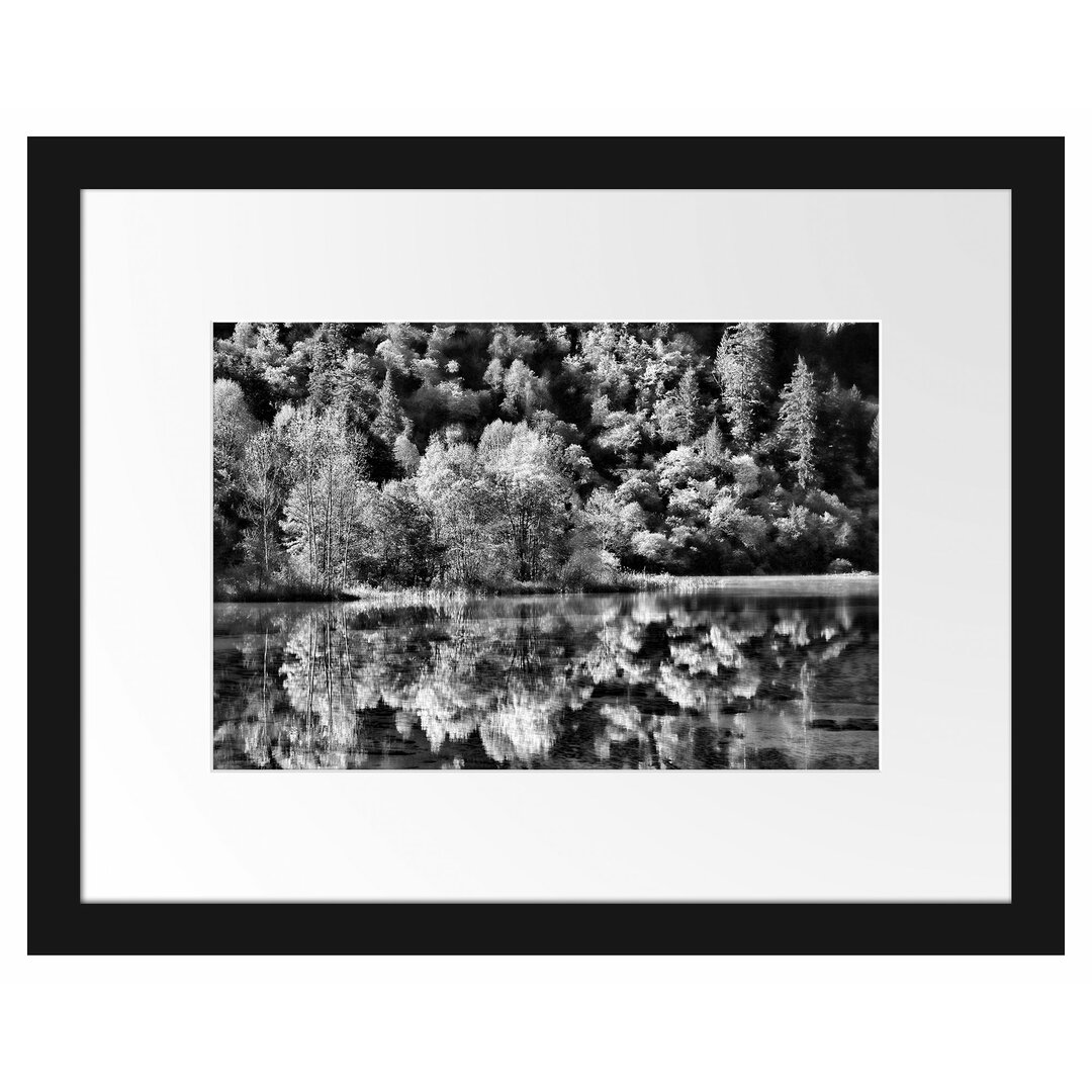 Gerahmtes Poster Herbstlicher Wald am See