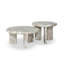 Dakota Nesting Coffee Table-1355655193