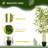 47.2'' Faux Bamboo Tree in Cement Pot