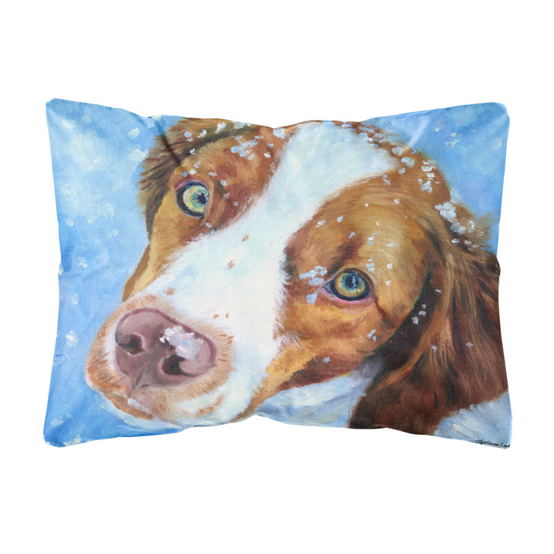  Coussin Snow / Brittany